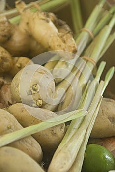 Ginger, Lemon Grass, potato and lime