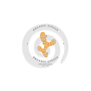 Ginger. Logo template