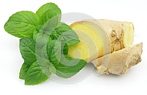 Ginger with mint