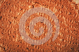 Ginger nut biscuits background, close-up on back side.