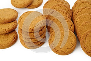 Ginger nut biscuts on white