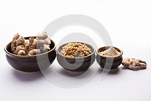 Ginger paste / puree or powder / sunth / sonth, selective focus