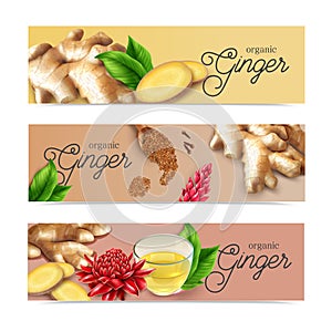 Ginger Realistic Banners