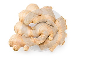 ginger rhizome isolated on white background. Top view