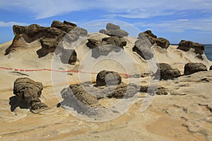 Ginger rock formation,Yehliu geopark