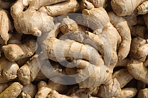 Ginger root photo