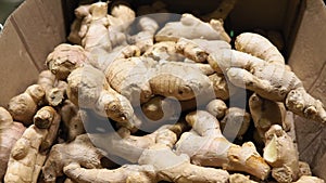 Ginger root close-up. sale of spices and vegetables