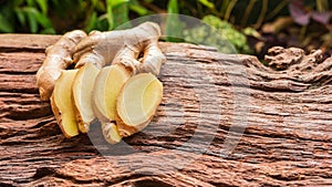 Ginger root - Fresh ginger root and sliced