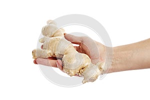 Ginger root in hand isolated on white background