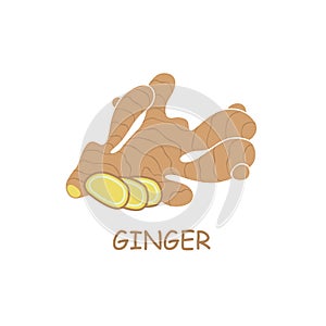 Ginger root illustration