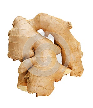 Ginger root isolated on a white