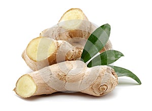 Ginger root with leaves on white background