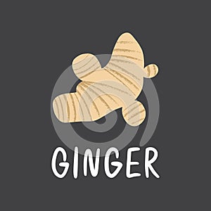 Ginger root with lettering. Flat hand drawn fresh spice for healthy fodd and desserts.