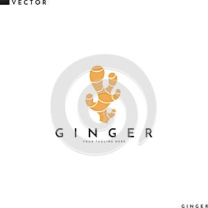 Ginger root logo
