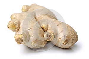 Ginger root with new sprouts