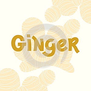 Ginger root plant and vector hand written text. Spicy herb original design. Kitchen healthy herbs and spices for cooking