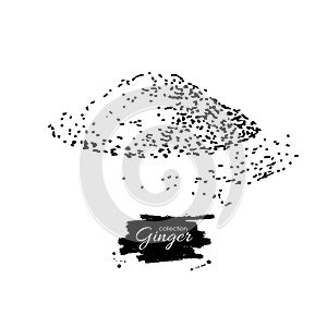 Ginger root powder vector hand drawn illustration. Engraved