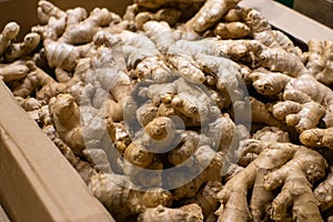 Ginger root on the shelves of a hypermarket, selling vegetables.