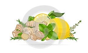 Ginger root slices  lemon  mint leaves  thyme and cane sugar. Vector illustration on white background. Natural home remedies  cold