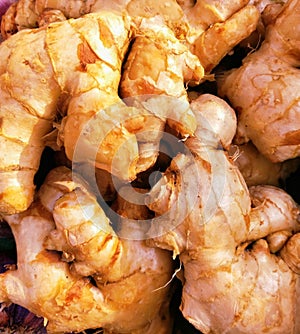 Ginger root spice a pungent aromatic rhizome of a tropical Asian herb Indian adarak Chinese culinary and folk medicine photo photo