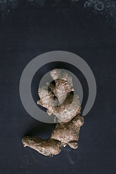 Ginger root, whole root piece on the dark background