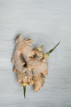 Ginger root with young green sprouts on wooden background