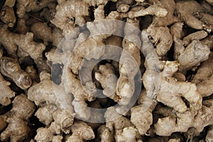 ginger roots at close view