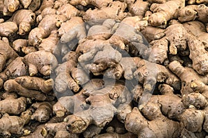 Ginger roots display in the fresh vegetable market