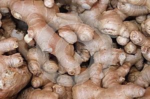 ginger roots grown in the chinese soil