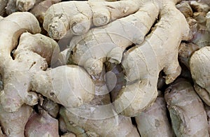 ginger roots for the preparation of spicy and tasty ethnic dishes