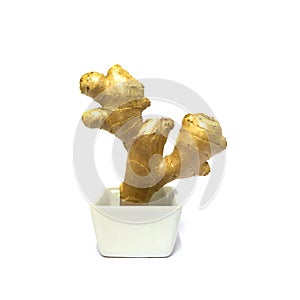 Ginger rootstock in white square ceramic bow