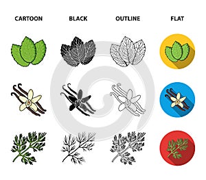 Ginger, rosemary, vanilla, mint.Herbs and spices set collection icons in cartoon,black,outline,flat style vector symbol