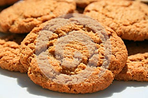 Ginger Snap Cookies