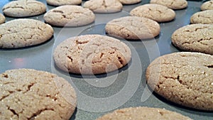 Sugar cookies photo