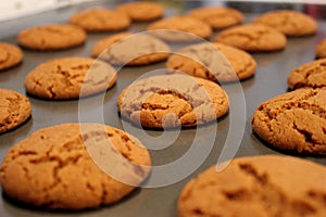 Freshly Baked Gingersnap Cookies Closeup photo