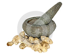 Ginger with stone pounder photo