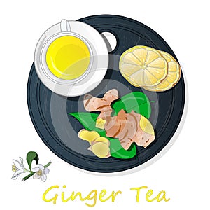 Ginger tea vector illustration isolated set top view