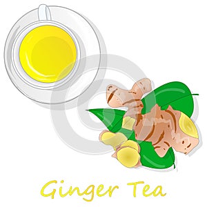 Ginger tea vector illustration isolated set top view