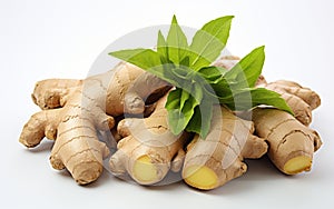 Ginger White Background