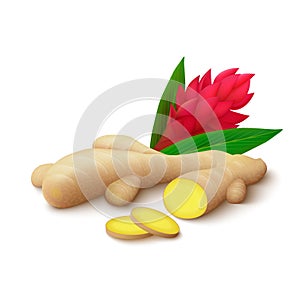 Ginger on white background