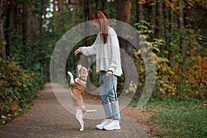 Ginger woman spending her weekend with dog in the forest