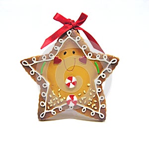 Gingerbread Cookie