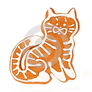 Gingerbread cookie cat