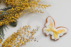 gingerbread cookie in a shape of a butterfly and mimosa flowers on white background. Spring, Happy Easter concept. top