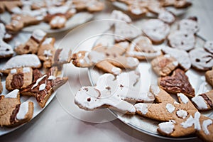 Gingerbread cookies or christmas cookie