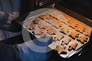 Gingerbread cookies fresh out of the oven