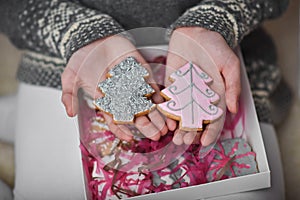 gingerbread in the form of a Christmas tree in the hands of a girl.