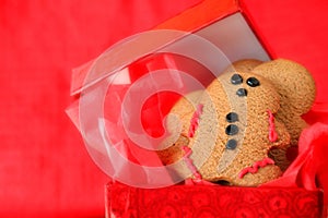 Gingerbread Man photo