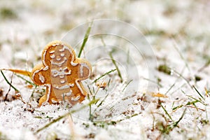 Gingerbread Man Cookie Standing Outside in Snow