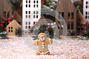 Gingerbread Man Standing in the Snow